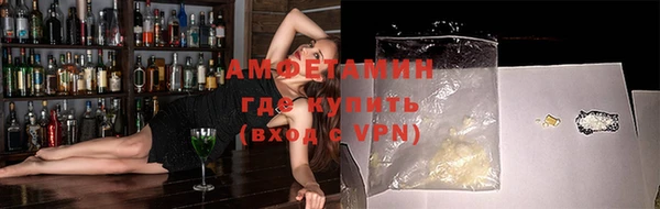 ГАЛЛЮЦИНОГЕННЫЕ ГРИБЫ Дмитриев