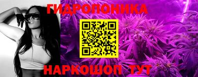 гидра Заводоуковск