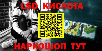 гидра Заводоуковск
