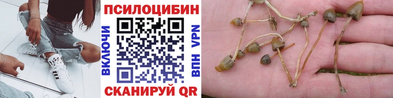 Галлюциногенные грибы Cubensis  Конаково 