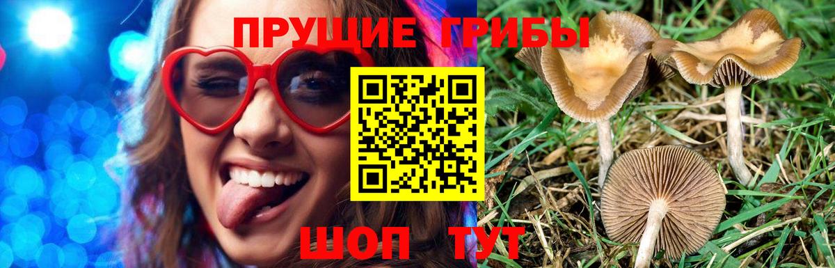 Галлюциногенные грибы MAGIC MUSHROOMS Конаково