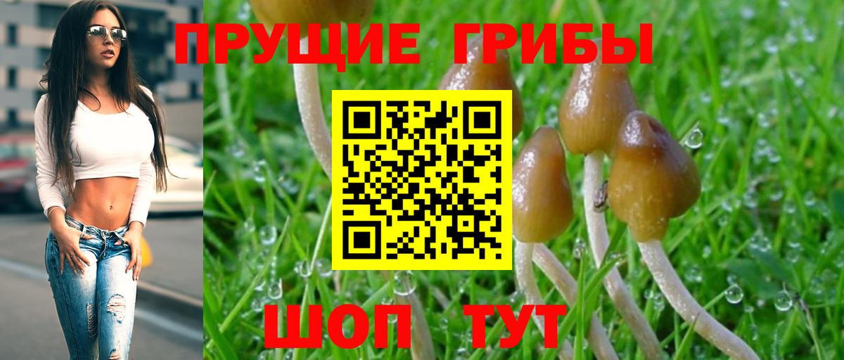 Псилоцибиновые грибы мицелий  Вход с VPN  Конаково 